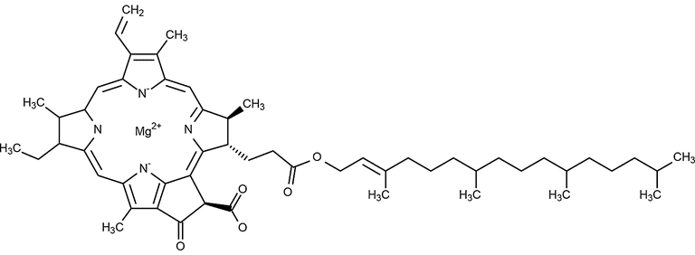 chemical structure of chlorophyll pdf