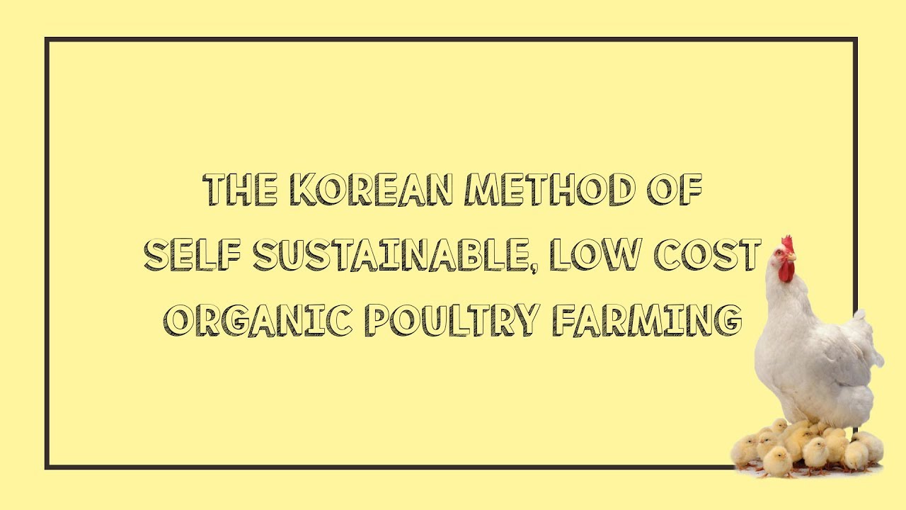 korean natural farming methods of chicken husbandry pdf
