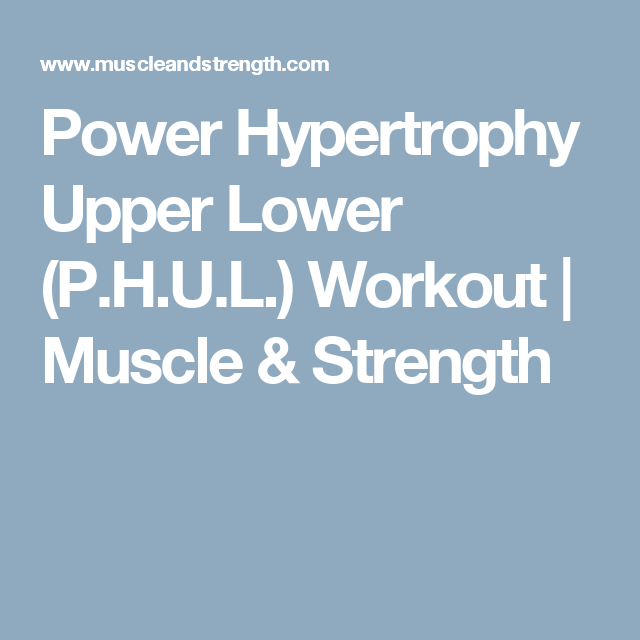 gym program for muscle gain hypertrophy pdf
