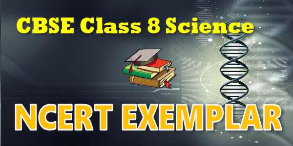 mcq questions for class 8 science pdf