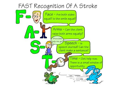 heart and stroke fast pdf
