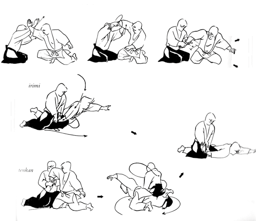 aikido self defense techniques pdf