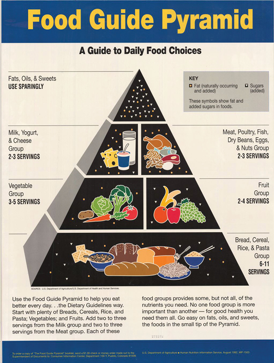 basic food nutrition manual pdf