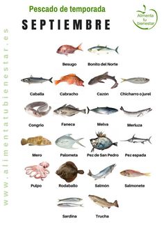 freshwater fish of the northeast pdf