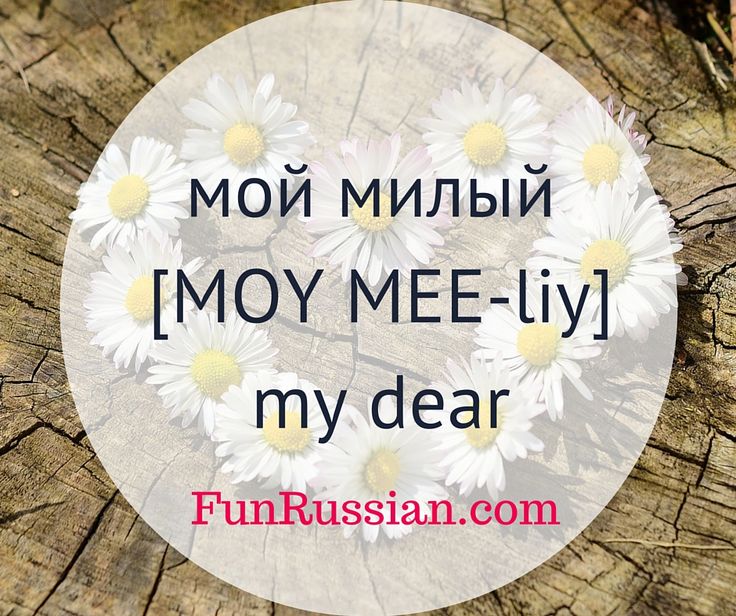 russian language in 25 lessons pdf